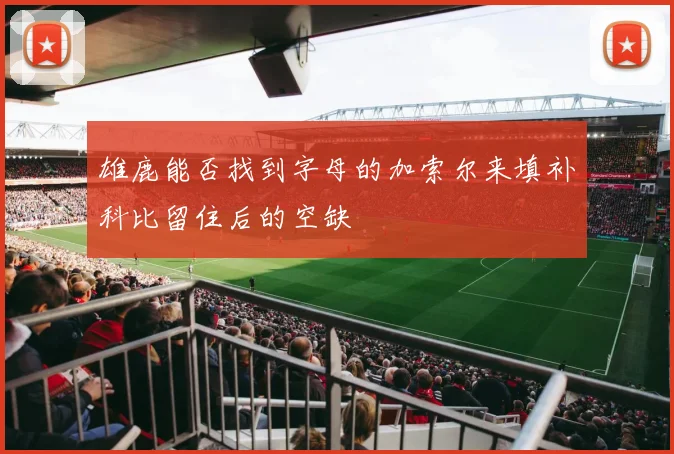 雄鹿能否找到字母的加索尔来填补科比留住后的空缺