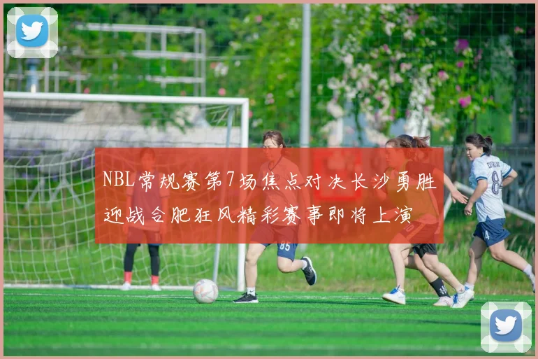 NBL常规赛第7场焦点对决长沙勇胜迎战合肥狂风精彩赛事即将上演