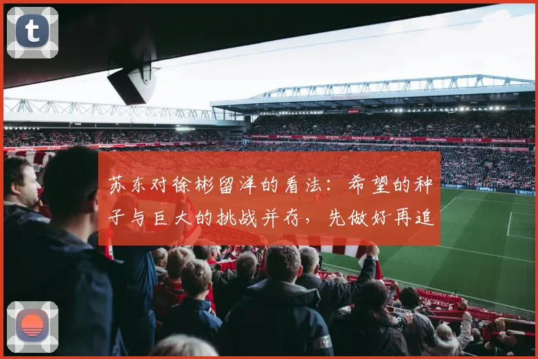 苏东对徐彬留洋的看法：希望的种子与巨大的挑战并存，先做好再追求完美
