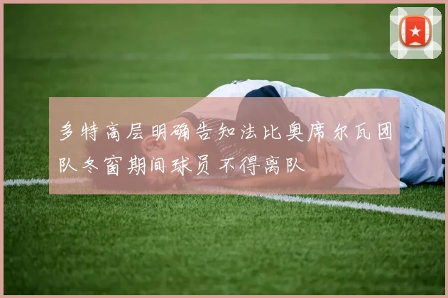 多特高层明确告知法比奥席尔瓦团队冬窗期间球员不得离队