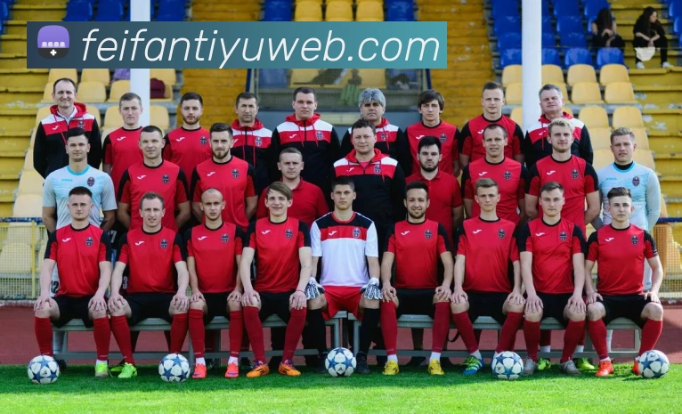 非凡体育平台生态图